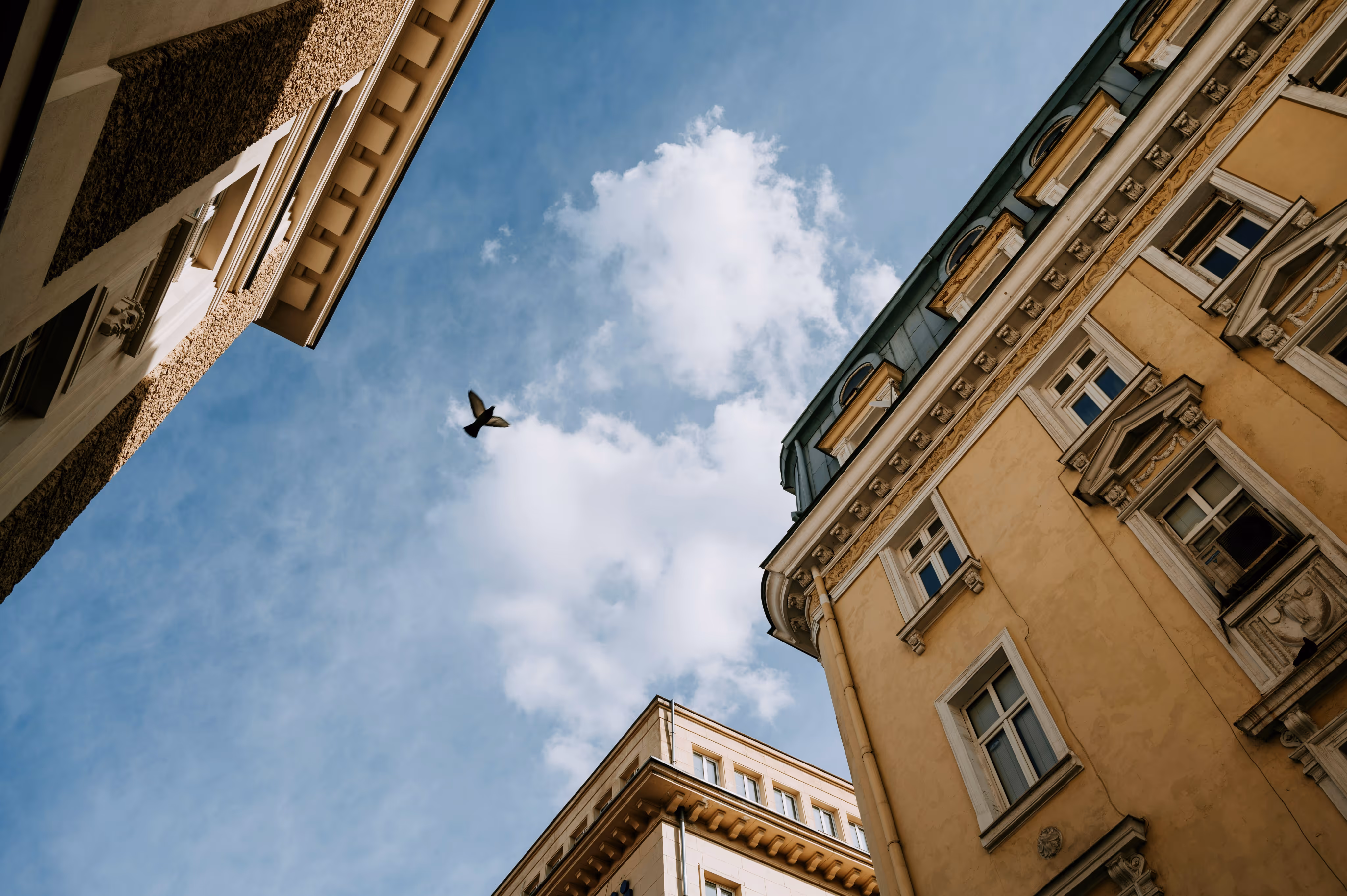 Esihenkilövalmennukset